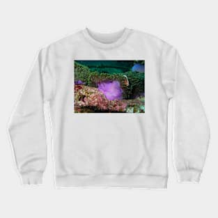 Anemone in current Crewneck Sweatshirt